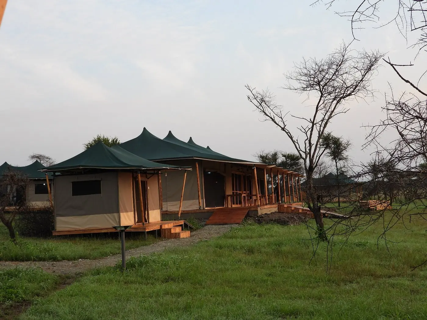 Tented Camps