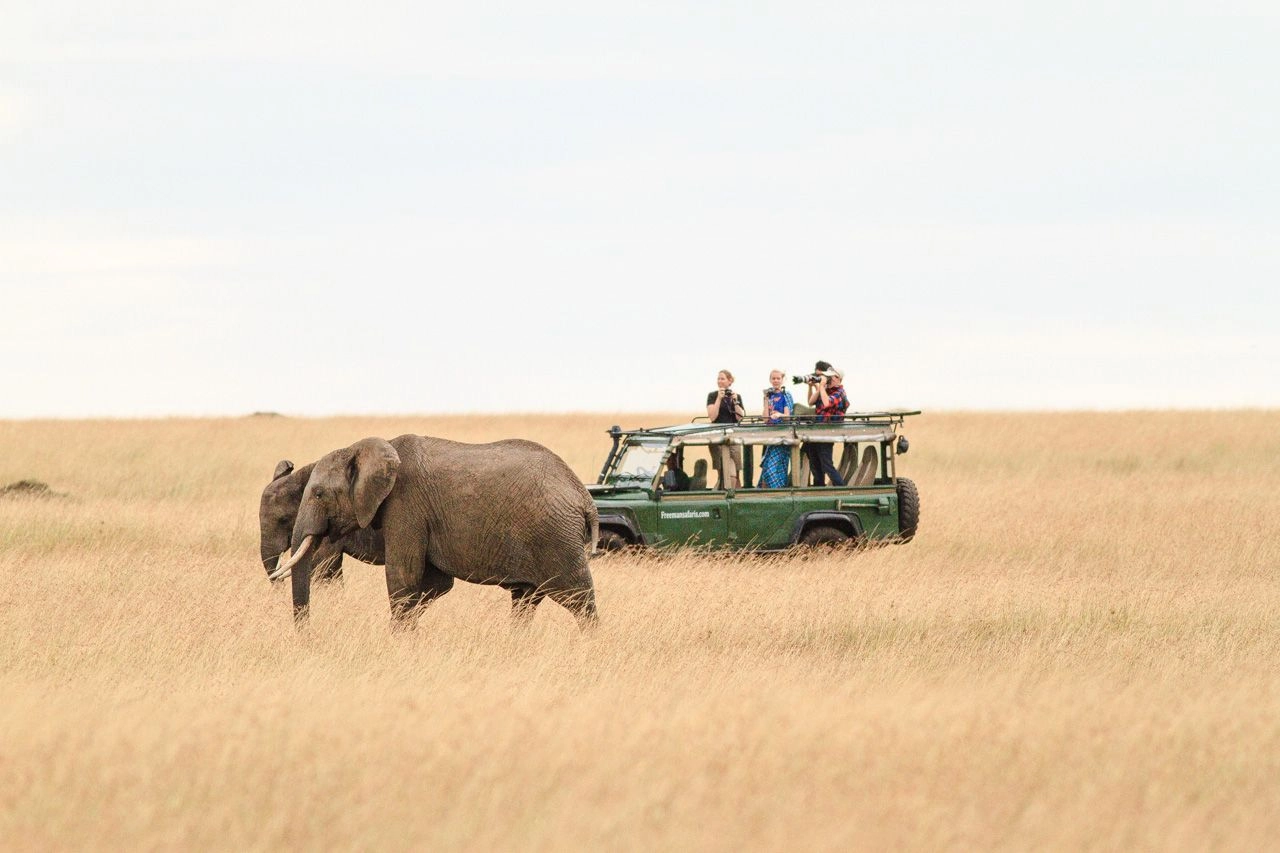 Safari Packages