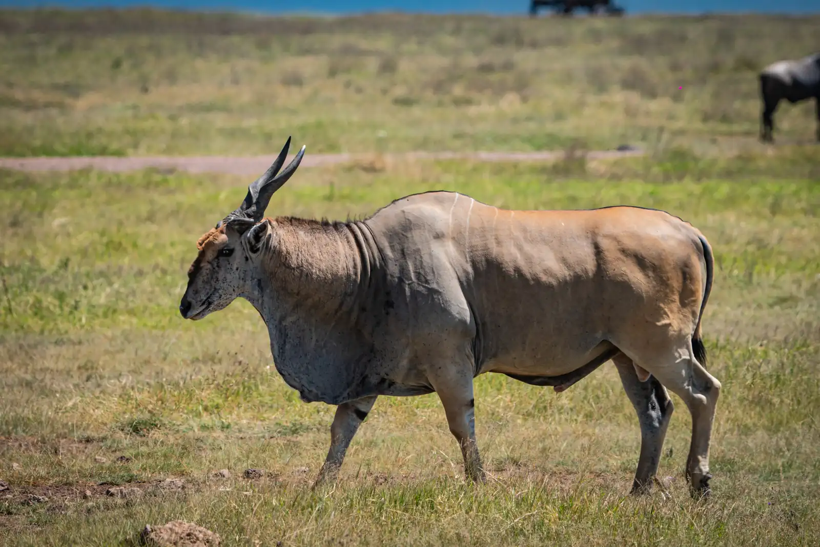 DISCOVER THE SOUL OF TANZANIA
