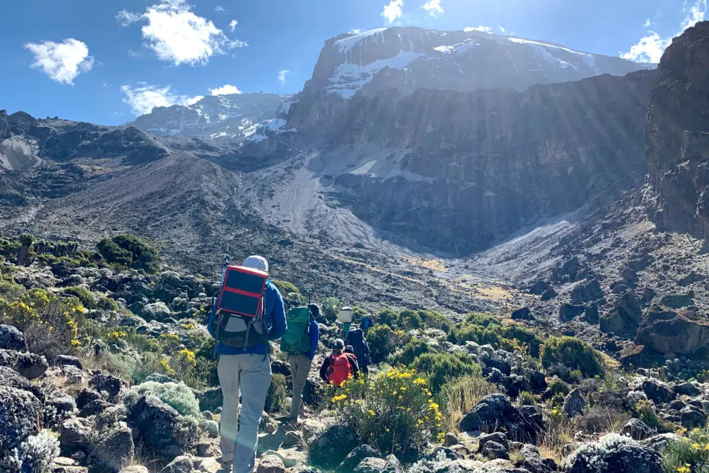  8 Days Lemosho Route (Mt. Kilimanjaro)