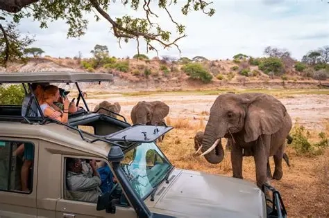 5 DAYS THE NOTRTHERN CIRCUIT (TARANGIRE, NGORONGORO AND SERENGETI SAFARI)