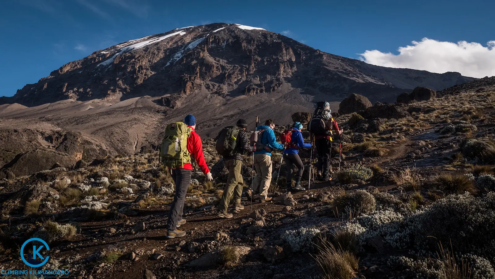  7 Days Machame Route (Mt. Kilimanjaro)
